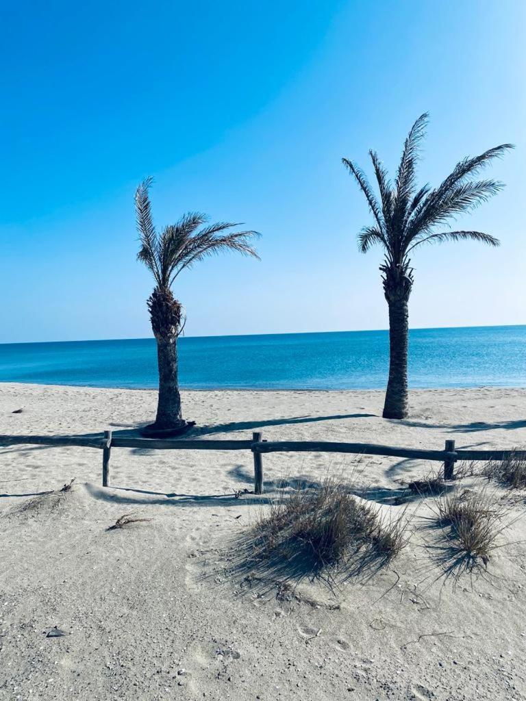 Paradis Bleu Vue Mer, Direct Plage Le Barcarès Exterior foto